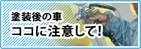 塗装後の車ココに注意して！